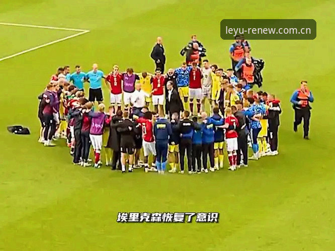 LEYU Renew网页注册 埃里克森球场昏倒事件解读教程:在乐鱼平台看懂“第二次意外”背后的技术细节